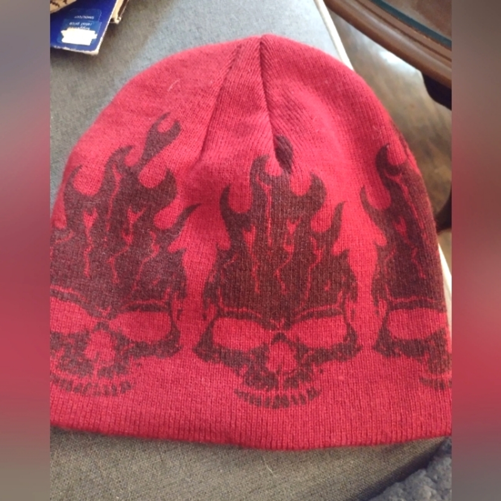 Boys Pugs winter hat
